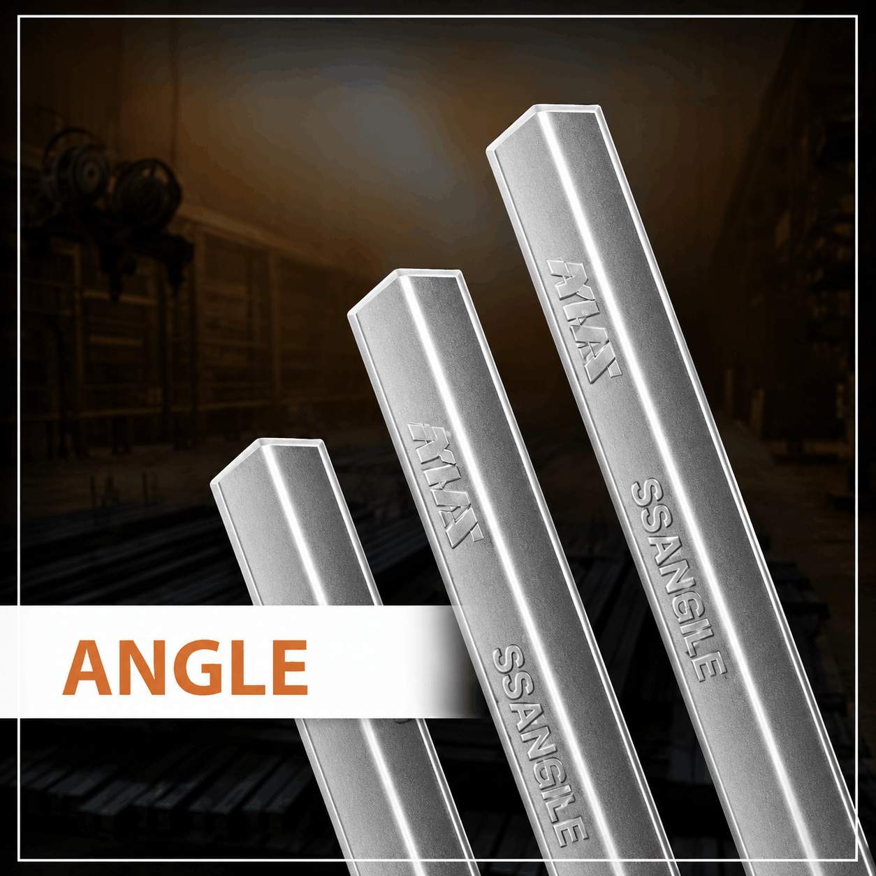 MS Angle